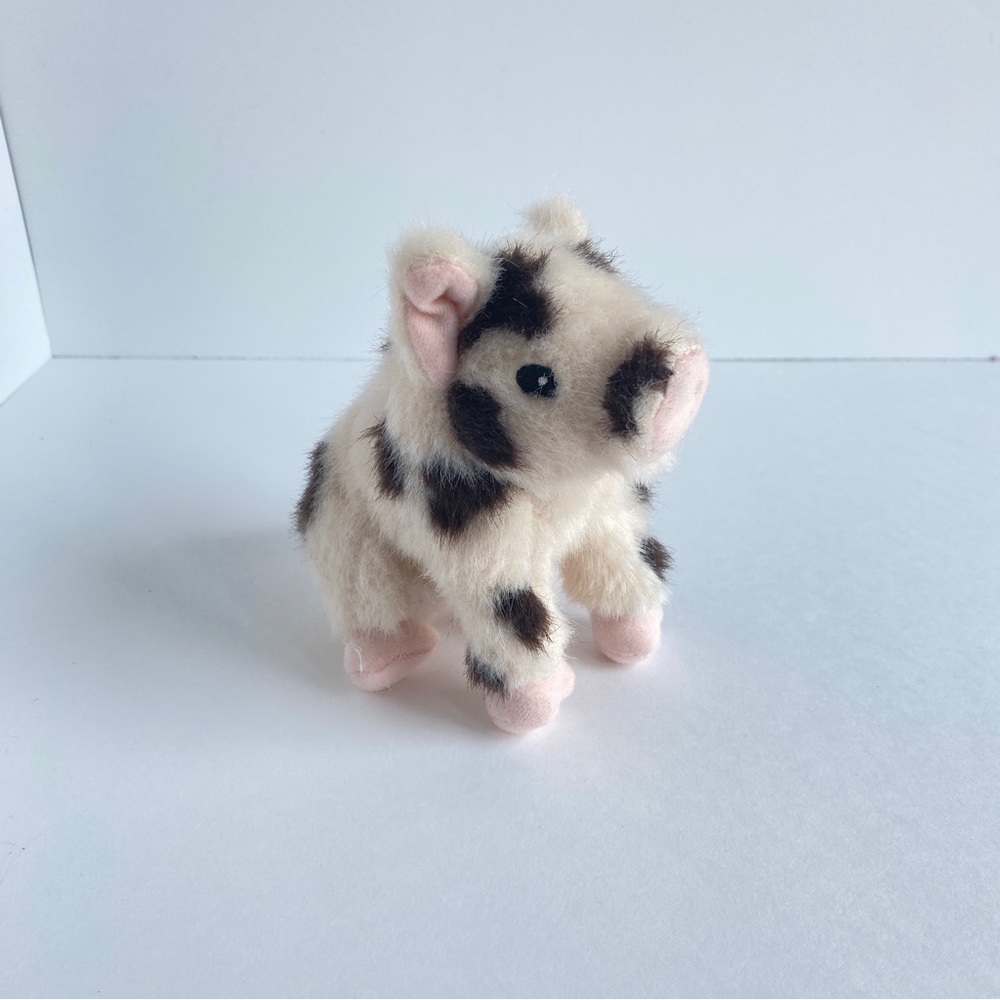 Blaire's Pig American Girl